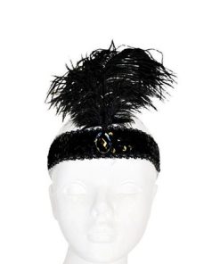 charleston hoofdband met pluim