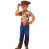 Woody toy story toddler