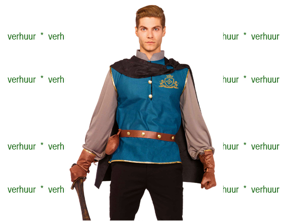 Prins charming droomprins blauw