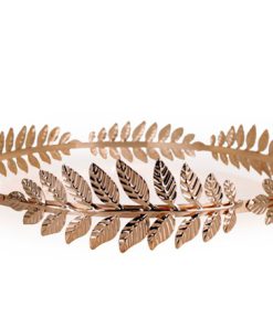 Ceasar bladerkroon ijzer