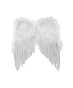 vleugels wit mini voor kind en baby best