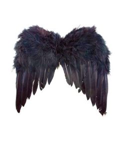 vleugels zwart mini voor kind en baby best