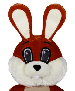 Paashaas mascotte deluxe TE HUUR