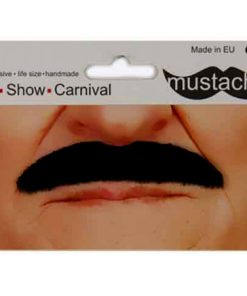 Freddy murcury snor zwart