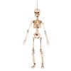 Beweegbaar skelet 50cm decoratie