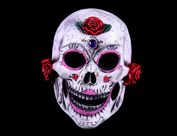 Dotd masker rubber full mask roze rood