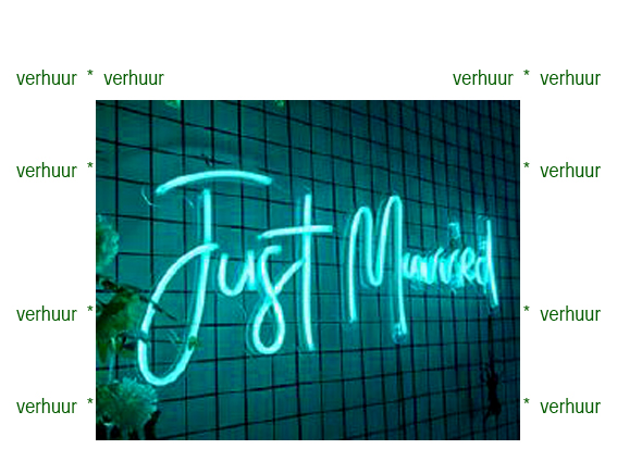 just married neon lichtgevende plaat TE HUUR