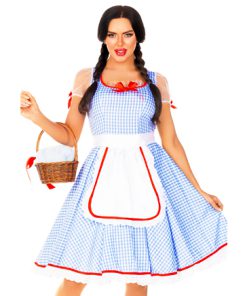 Wizard of oz jurk blauw wit geruit classic