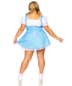 Gingham jurk wizard of oz alice in wonderland blauw wit