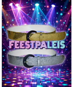 Riem zilver  goud disco